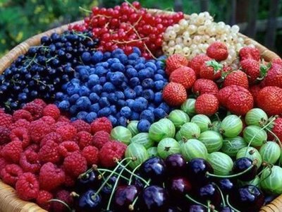 Як ягідний бізнес України долає енергетичну кризу