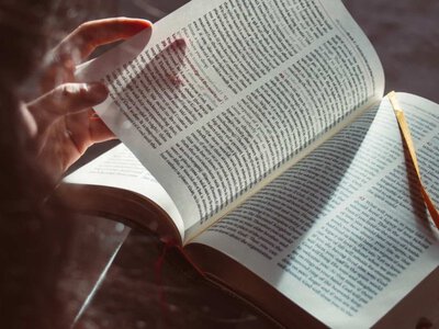 6 незамінних книг про створення організацій