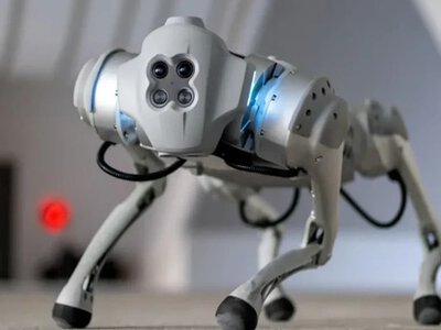 Дрони-перехоплювачі і роботи-охоронці: що відбувається за лаштунками Чемпіонату світу