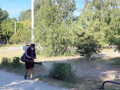 Сьогодні комунальники обробили від кліщів Журавлівський острів у Харкові (фото)