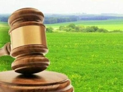 На Прикарпатті громаді повернули понад 100 гектарів землі, переданої в обхід аукціону