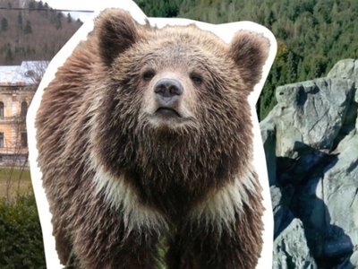 Шокуючий туристичний бум: куди масово їдуть українці на Львівщині