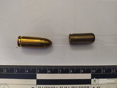 Бив співмешканку та зберігав вогнепальну зброю: на Миколаївщині затримали чоловіка