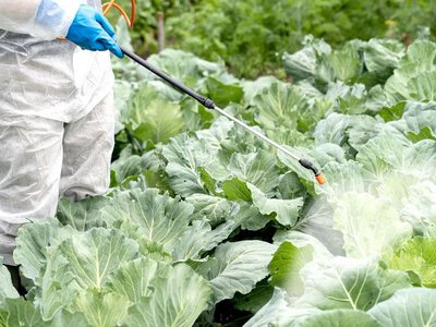 Канадська нанотехнологія захистить посіви від змивання пестицидів
