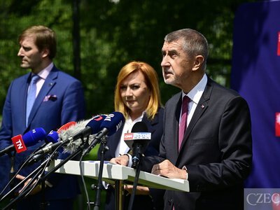 У Чехії заборонять продаж кратома онлайн та купівлю його особами віком до 21 року