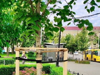 На Подолі в Києві оновлюють зелені зони: догляд за деревами та формування чагарників