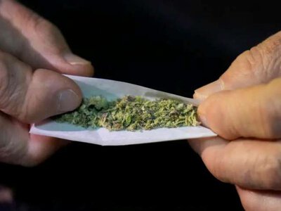 Прикордонна служба Британії вилучила рекордну партію марихуани вагою 12 тонн