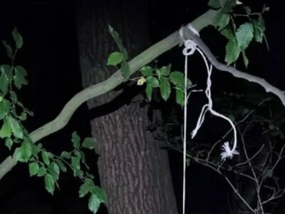 У Шептицькому районі чоловік повісив собаку сусідки