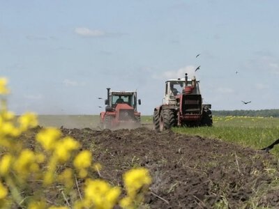 В Україні завершується посівна кампанія 2026 року