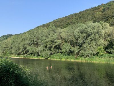 12-річний хлопчик із Виноградівщини потрапив до лікарні через отруєння алкоголем