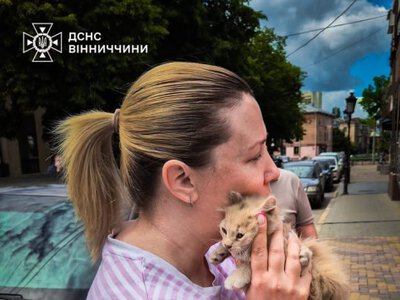 У Вінниці рятувальники врятували кошеня, яке застрягло під капотом автомобіля
