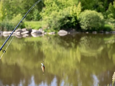Місячні фази та нерестові обмеження: у які дні червня прогнозують максимальну активність риби 