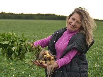 «Фермери не здаються»: як війна, ціни й посуха б’ють по аграріях Рівненщини
