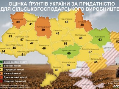Які області України мають найродючіші ґрунти