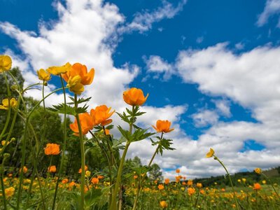 Потепління до +26°C та багато сонця: точний прогноз погоди в Кам'янському на вихідні 20-21 червня