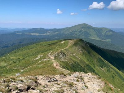 Квадроцикли та джипи руйнують Карпати: екологи попереджають про шкоду для природи і біорізноманіття