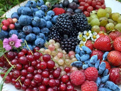 Посадив і забув: вісім ягідних кущів, які дадуть урожай без щоденного догляду 