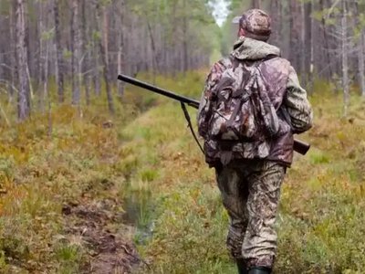 Понад 9 тисяч гектарів мисливських угідь можуть передати в користування на Рівненщині