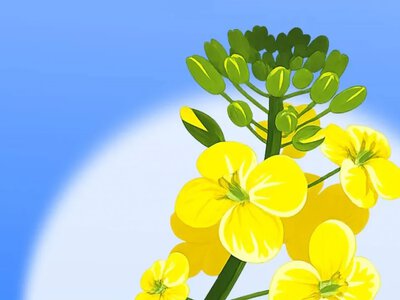 В Україні запровадили виплати жертвам сексуального насильства, пов’язаного з війною 