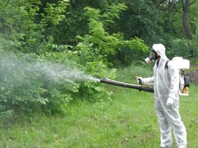 В окупованому Скадовську нібито планують обробку територій від кліщів - Херсон Daily