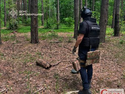 Ехо Другої світової: на Житомирщині піротехніки знищили два небезпечні снаряди