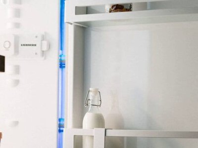 Продукти, які заборонено зберігати в холодильнику: небезпека для здоров’я