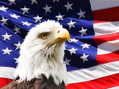 Свято 20 червня: У США відзначають День американського орла