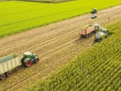 Агробізнес: на Кіровоградщині пропонують понад 140 вакансій