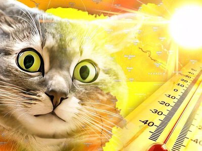 На Рівненщині прогнозують спектоні дні 