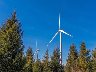 Вітряки принесли громаді мільйони: на Закарпатті бюджет поповнився на 18 мільйонів гривень