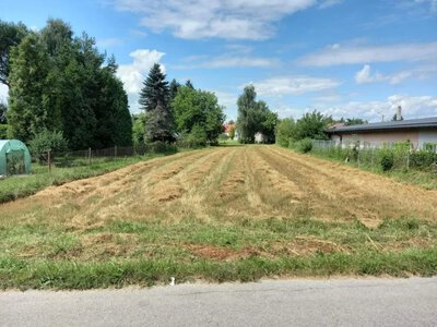 Як законно орендувати частину земельної ділянки