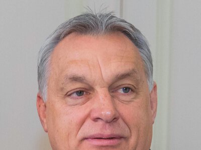 В Угорщині переглянули рішення Орбана: що повернули українцям