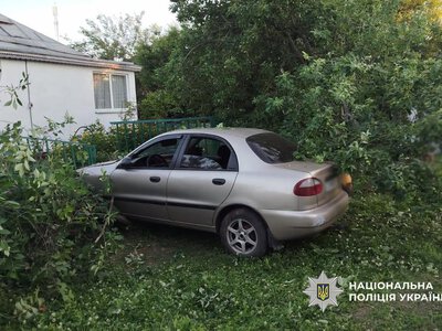 На Золотоніщині п’яна водійка протаранила дерево і паркан: постраждали дві дитини
