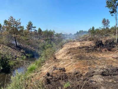Тліє другий день: у Луцькому районі гасять пожежу торфна площі 4 га