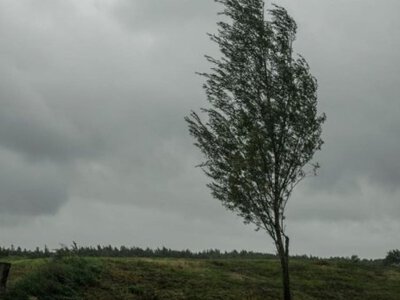  Закарпатців попередили про негоду 