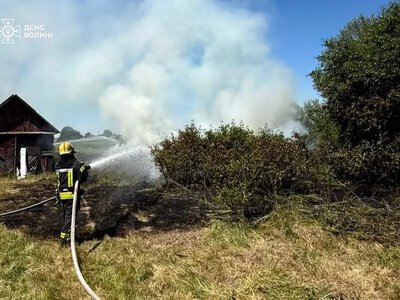 Рятувальники за 22 хвилини ліквідували пожежу сухої трави та врятували господарську споруду в селі Борохів