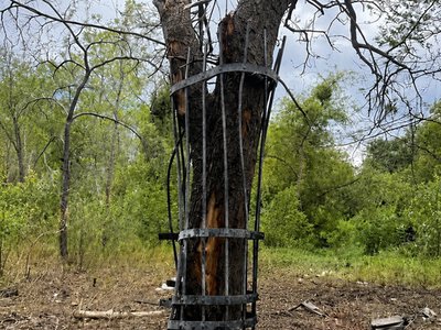 Кіностудія Довженка після обстрілу: вибухова хвиля створила незвичний «арт-об’єкт»