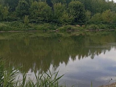 На Берегівщині течія понесла чотирьох дітей: одного хлопчика досі шукають (ФОТО)