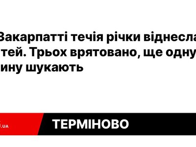На Закарпатті течія річки віднесла 4 дітей. Трьох врятовано, ще одну дитину шукають — PMG.ua