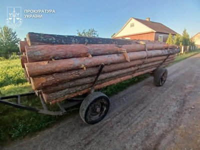 Знищили сосен у заказнику на 2,6 мільйона: на Рівненщині викрили майстра лісу та його спільника