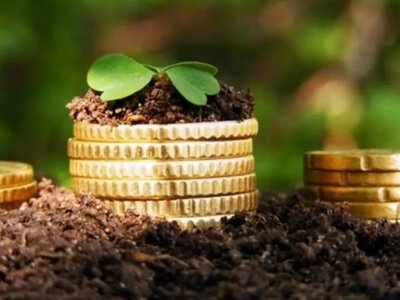 Левова частка − від бізнесу: на Одещині зросли показники із плати за землю