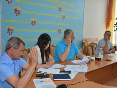 Комісія Тернопільської облради підтримала кандидатури на звання «Почесний громадянин області» та розглянула питання безпеки й ветеранської політики