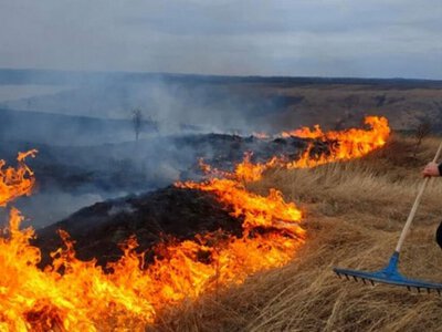 Трагедія на Мукачівщині: жінка загинула під час спалювання сухої трави