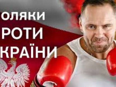 Польский обозреватель: Навроцкий войдёт в историю как «разрушитель отношений» с Украиной