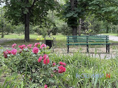 Поверхня грунту розжарювалася до +65°C: синоптики розповіли про погодні особливості червня на Миколаївщині