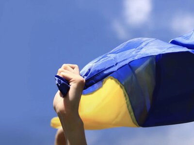 Як у Житомирі святкуватимуть 30-річчя Дня Конституції: перформанси, виставки та маршрути пам’яті