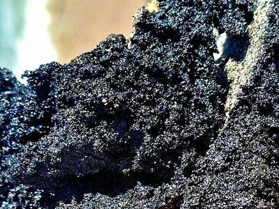 На Одещині екологи натрапили на нові осередки забруднення морського узбережжя