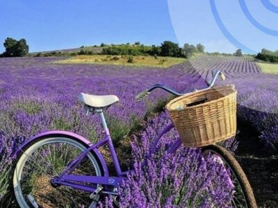 У середу на Рівненщині очікують до +28 градусів тепла