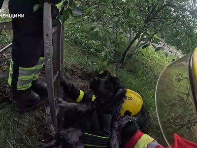Рятувальники дістали собаку з колодязя на Рівненщині (ВІДЕО)