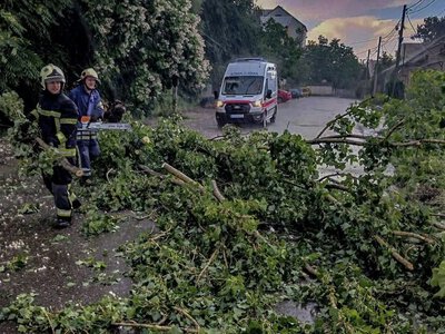 Вітер повалив дерева на автошляхи і дахи будинків: наслідки негоди на Закарпатті (ФОТО)